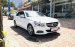 Bán Mercedes E250 Model 2015, 1 chủ từ mới