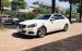 Bán Mercedes E250 Model 2015, 1 chủ từ mới