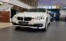 Cần bán BMW 320i 2018, màu trắng, nhập khẩu