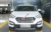 Bán ô tô Hyundai Santa Fe 2.4AT 2WD 7 chỗ đời 2015, màu trắng