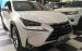 Bán ô tô Lexus NX 200T đời 2015, màu trắng, xe nhập