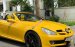 Bán Mercedes SLK350 2008, màu vàng, nhập khẩu