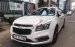 Cần bán Chevrolet Cruze 1.8LTZ đời 2016, màu trắng, xe gia đình