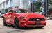 Ford Mustang 2.3 EcoBoost Fastback 2019, màu đỏ