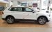 Bán Volkswagen Tiguan Allspace Luxury sản xuất năm 2019, màu trắng, nhập khẩu
