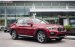 Bán ô tô BMW X4 xDrive20i đời 2019, màu đỏ, nhập khẩu nguyên chiếc