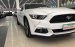 Cần bán xe Ford Mustang sản xuất 2017, màu trắng, nhập khẩu nguyên chiếc