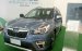 Cần bán xe Subaru Forester 2.0i-S EyeSight năm 2019, màu xanh lam, nhập khẩu
