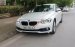 Chính chủ bán BMW 3 Series 320i đời 2016, màu trắng, nhập khẩu  