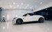 Cần bán Peugeot RCZ năm 2015, màu trắng còn mới giá 1 tỷ 250 triệu đồng