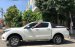 Bán Mazda BT 50 MT đời 2017, màu trắng 