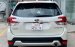 Bán Subaru Forester sản xuất 2019, nhập khẩu, mới 100%