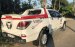 Cần bán xe Mazda BT 50 sản xuất năm 2015, màu trắng, xe nhập chính hãng