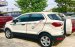 Xe Ford EcoSport MT 2019, màu trắng số sàn, giá 490tr