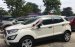 Xe Ford EcoSport MT 2019, màu trắng số sàn, giá 490tr