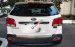 Cần bán lại xe Kia Sorento sản xuất 2014, màu trắng, xe nhập