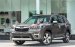 Bán xe Subaru Forester năm sản xuất 2019, màu nâu, nhập khẩu