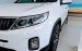 Bán ô tô Kia 2019, màu trắng, nhập khẩu giảm 40 triệu