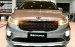 Cần bán xe Kia Sedona DAT đời 2019, nhập khẩu