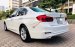 Cần bán lại xe BMW 3 Series 320i năm sản xuất 2016, màu trắng, nhập khẩu nguyên chiếc