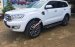 Cần bán xe Ford Everest Titanium 2.0L 4x2 AT 2019, màu trắng, nhập khẩu  