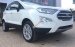Bán xe Ford EcoSport Titanium 1.5L AT đời 2019, màu trắng