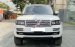 Bán LandRover Range Rover HSE 3.0 sản xuất 2014, màu trắng, nhập khẩu
