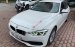 Cần bán lại xe BMW 3 Series 320i đời 2016, màu trắng, nhập khẩu chính hãng