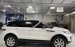 Cần bán LandRover Range Rover sản xuất năm 2016, màu trắng, xe nhập chính hãng