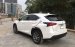 Cần bán xe Lexus NX sản xuất năm 2015, màu trắng, xe nhập chính chủ