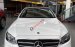 Cần bán xe Mercedes E300 sản xuất 2019, màu trắng