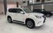 Cần bán xe Lexus GX460 đời 2014, xe nhập