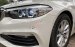Cần bán BMW 5 Series 520i năm 2018, màu trắng, nhập khẩu