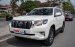 Bán Toyota Prado năm 2018, màu trắng