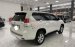 Bán Toyota Prado sản xuất năm 2011, màu trắng