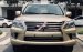 Cần bán xe Lexus LX 570 đời 2010, nhập khẩu nguyên chiếc