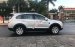 Bán Chevrolet Captiva Maxx LTZ đời 2010, màu bạc số tự động, 275 triệu