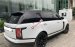 Cần bán LandRover Range Rover Autobiography LWB 2.0L P400e,2019 năm 2019, màu trắng, nhập khẩu nguyên chiếc như mới