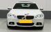 Bán ô tô BMW 520i 2015, màu trắng, nhập khẩu, 900 triệu
