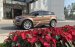 Bán LandRover Evoque sản xuất 2014, màu nâu, nhập khẩu nguyên chiếc, giá tốt