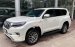 Bán ô tô Toyota Prado VX năm sản xuất 2018, màu trắng, nhập khẩu