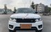 Bán LandRover Range Rover Sport Autobiography năm 2013, màu trắng, nhập khẩu