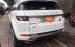 Bán xe LandRover Range Rover Evoque Pure Premium năm 2013, màu trắng, nhập khẩu