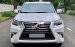 Cần bán gấp Lexus GX460 năm sản xuất 2016, màu trắng, xe nhập xe gia đình