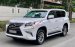 Cần bán gấp Lexus GX460 năm sản xuất 2016, màu trắng, xe nhập xe gia đình