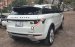 Cần bán xe LandRover Range Rover sản xuất 2012, nhập khẩu nguyên chiếc