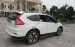 Cần bán xe Honda CR V 2015, màu trắng, giá tốt