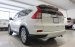 Cần bán gấp Honda CR V năm sản xuất 2016, màu trắng