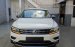 Volkswagen Tiguan Topline xe đức nhập khẩu màu trắng tặng quà khủng