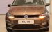 Volkswagen Polo Hatchback Nâu hổ phách 2020 nhập khẩu nguyên chiếc!!